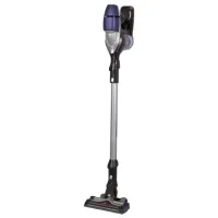 Aspirator vertical Rowenta RH9051WO / Silver Blue photo 2