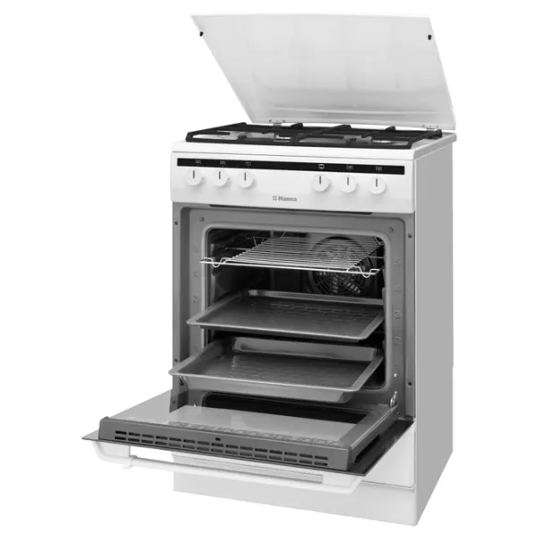 Плита Hansa FCMW68020 Газовая/ Белый/ Черный photo 4
