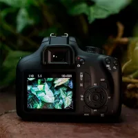 Cameră foto Canon EOS 4000D Kit CMOS/ Black photo 6