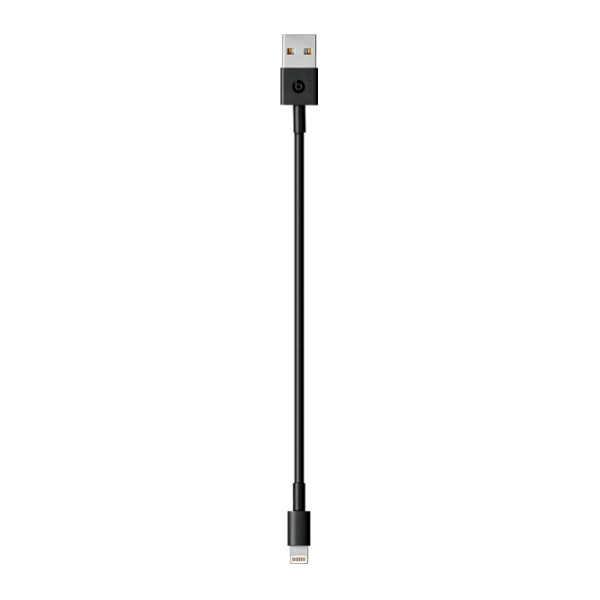 Наушники Beats by Dr. Dre Beats BeatsX Сатиновый Серебристый Беспроводные/ Персональный photo 3