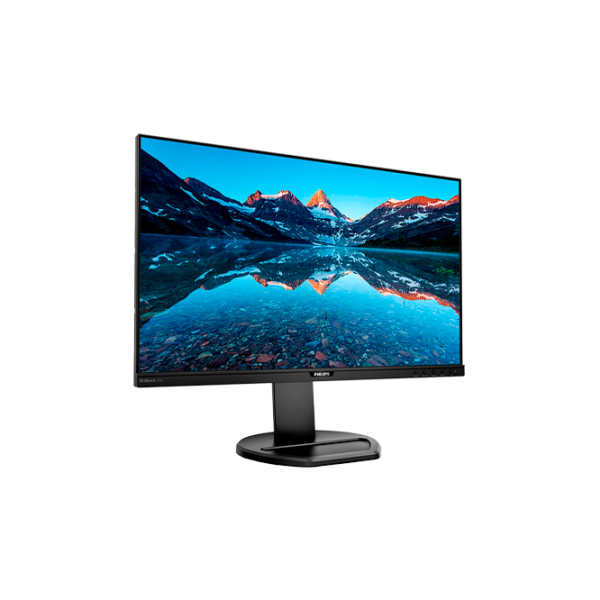 Монитор Philips 252B9 25" Full HD Черный photo 2