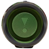 Boxă portabilă JBL Charge 4 30 W/ Dark Gray photo 9