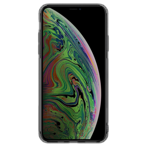 Чехол для смартфона Apple iPhone 11 Pro Nillkin/ Back/ TPU/ Прозрачный Серый photo 2