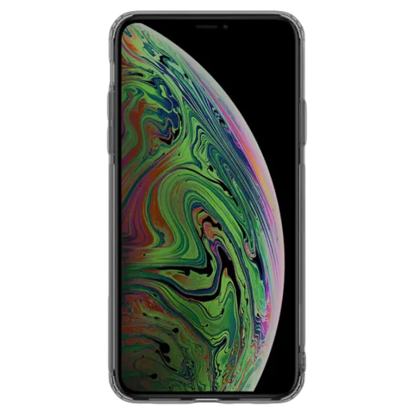 Husă pentru smartphone Apple iPhone 11 Nillkin/ Back/ TPU/ Transparent Gray photo 2
