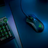 Мышь Razer DeathAdder V2 USB / Черный photo 7