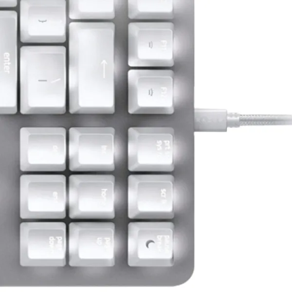 Tastatură Razer BlackWidow Lite Cu fir/ Mercury photo 4