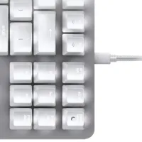 Клавиатура Razer BlackWidow Lite Проводная / Mercury photo 4