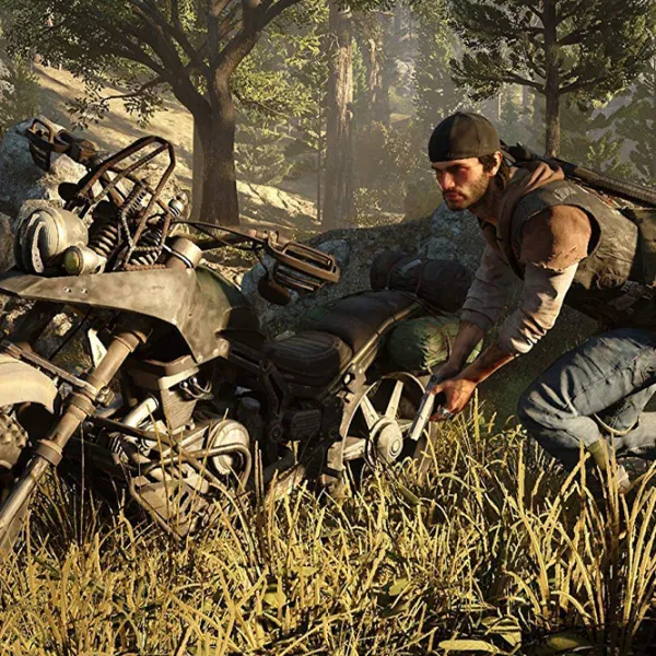  Days Gone Game for PlayStation 4 photo 5