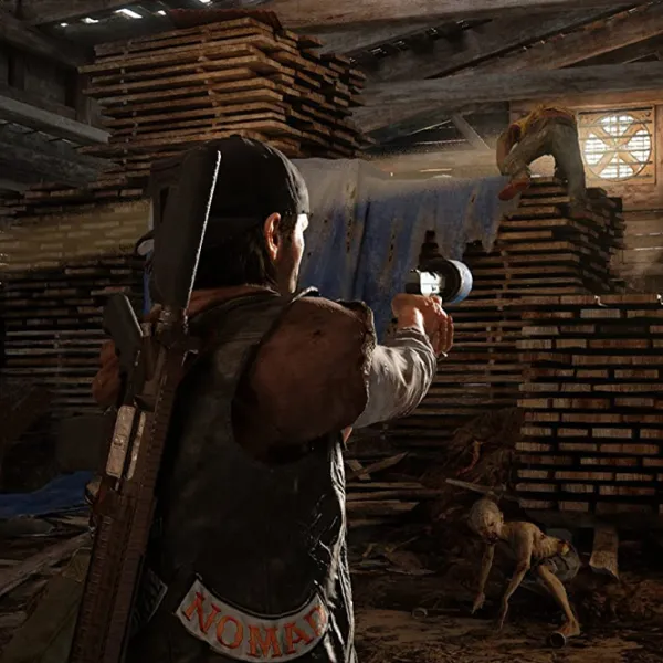  Days Gone Game for PlayStation 4 photo 7