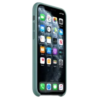 Husă pentru smartphone Apple iPhone 11 Pro Apple/ Back/ TPU/ Cactus Green photo 2