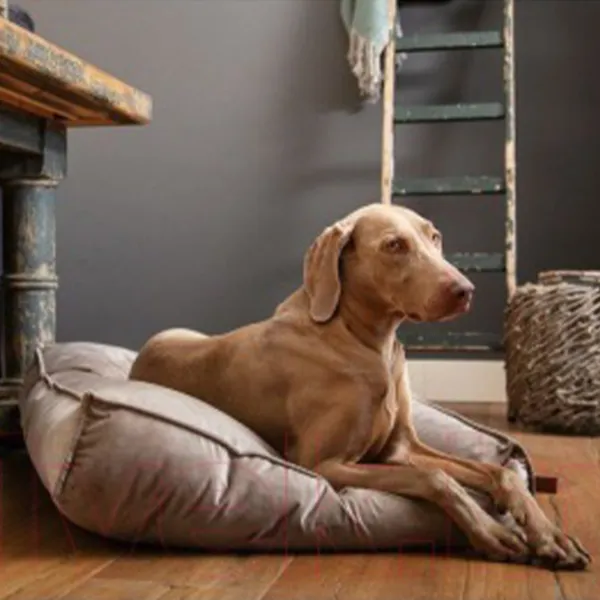 Кровать для собаки Beeztees NALINO DOG Grey photo 2 Кровать для собаки Beeztees NALINO DOG Grey photo 2