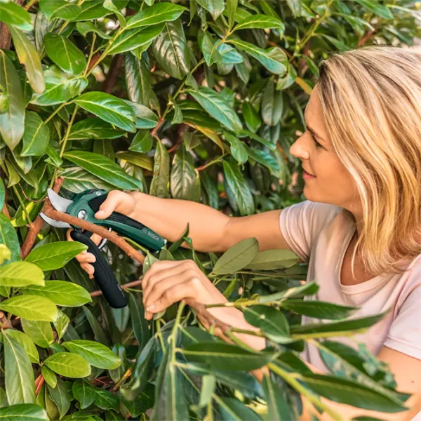 Садовые ножницы Bosch EasyPrune Сталь photo 4