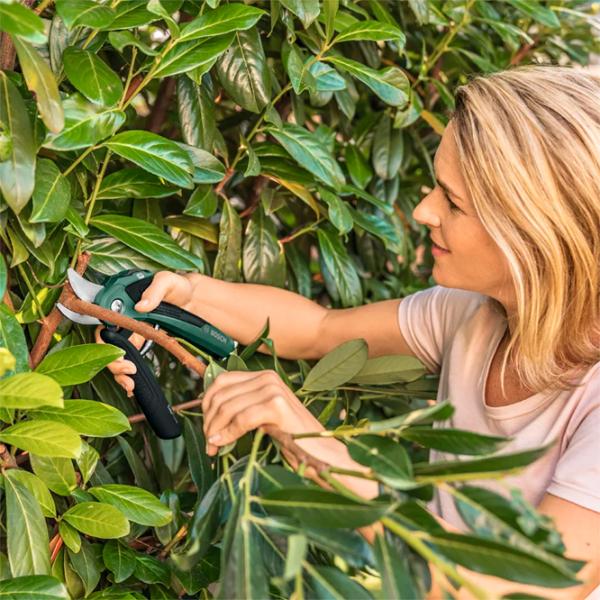 Садовые ножницы Bosch EasyPrune Сталь photo 4