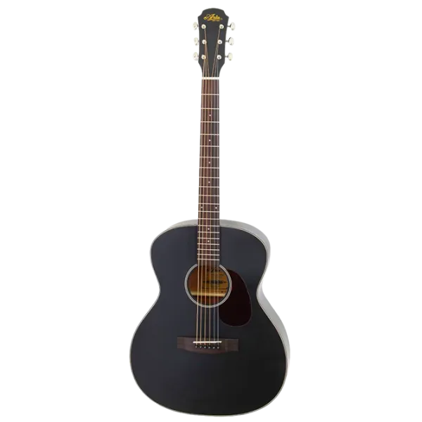 Chitară acustică Aria 101 MTBK 4/ 4, Jumbo, Black photo 1