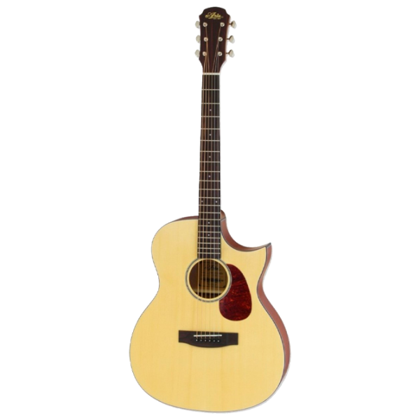 Акустическая гитара Aria 101CE MTN 4/ 4, Dreadnought, Натуральный photo 1