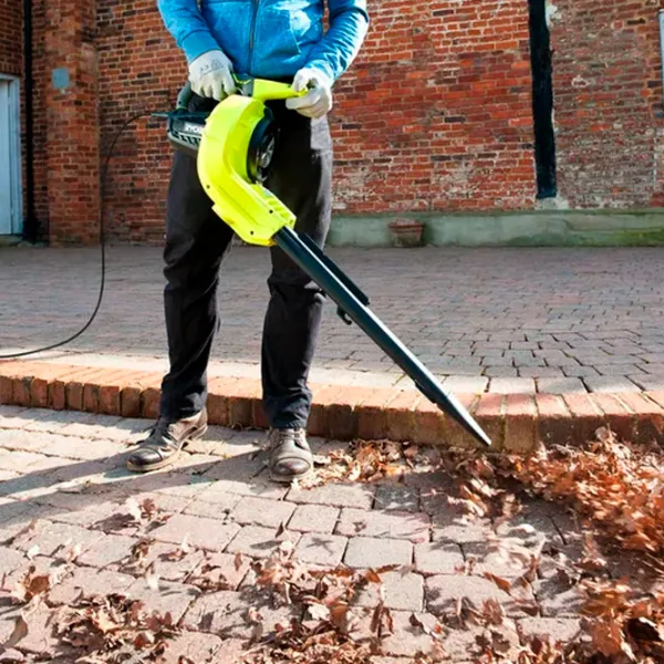 Suflantă de frunze Ryobi RBV3000CESV Green photo 8