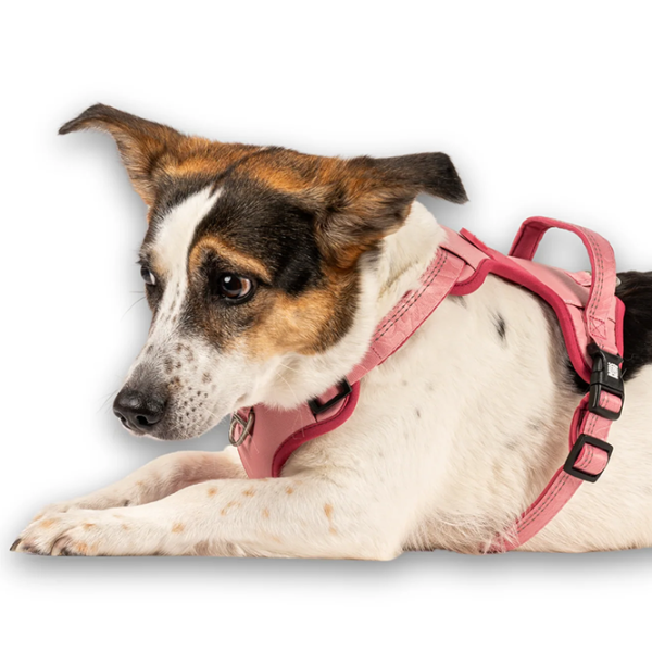 Шлейка Max & Molly Sport Matrix 2.0 для собаки/ XL photo 5
