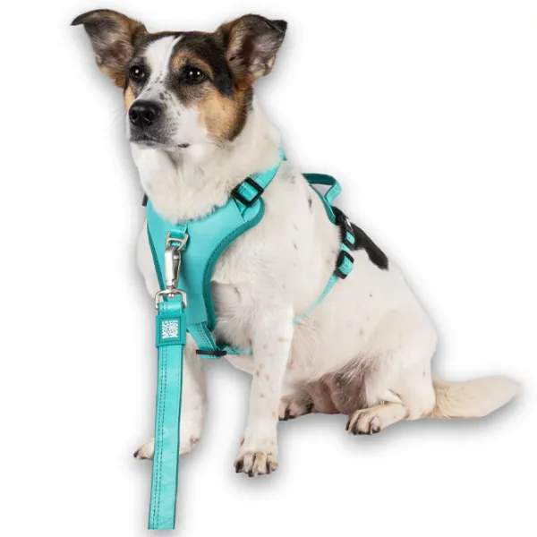 Ham Max & Molly Sport Matrix 2.0 pentru câine/ XL photo 4