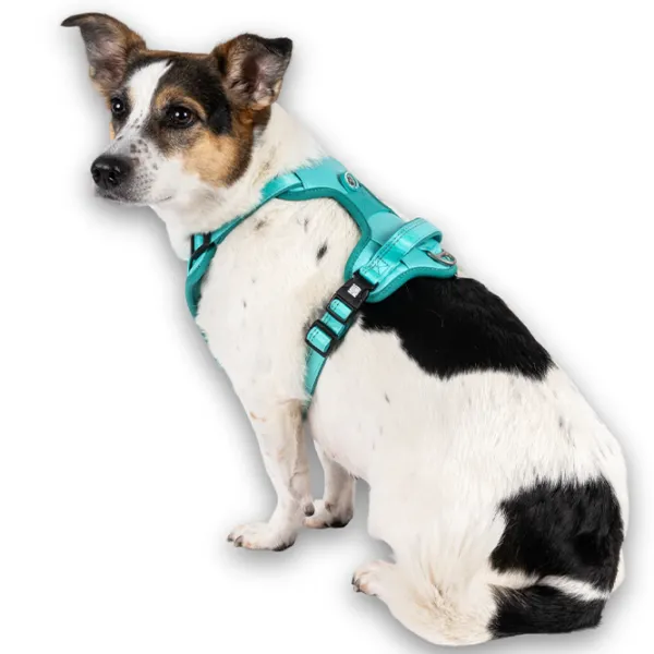 Ham Max & Molly Sport Matrix 2.0 pentru câine/ XL photo 5