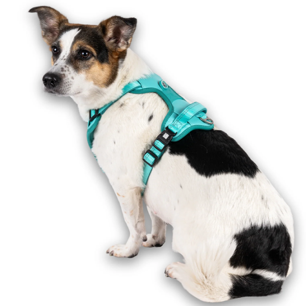 Ham Max & Molly Sport Matrix 2.0 pentru câine/ XL photo 5