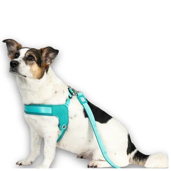 Ham Max & Molly Q-Fit Matrix 2.0 pentru câine/ L photo 3 Ham Max & Molly Q-Fit Matrix 2.0 pentru câine/ L photo 3
