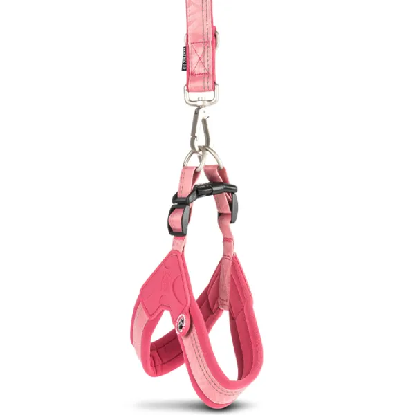 Ham Max & Molly Q-Fit Matrix 2.0 pentru câine/ XL photo 3