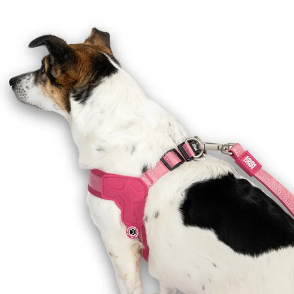 Ham Max & Molly Q-Fit Matrix 2.0 pentru câine/ XL photo 4