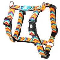 Шлейка Max & Molly Summertime для собаки/ M