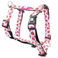 Ham Max & Molly Strawberry Dream pentru câine/ XS