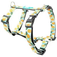 Ham Max & Molly Sweet Pineapple pentru câine/ S