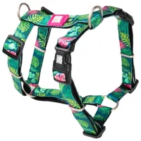 Ham Max & Molly Tropical pentru câine/ M