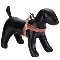 Шлейка Designed By Lotte VELURA для собаки/ XS