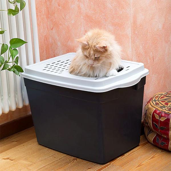 Лоток для кошек Ferplast Jumpy Крытый/ Black photo 6