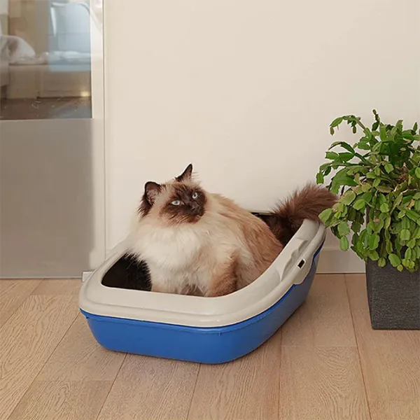 Лоток для кошек Ferplast Birba Открытый/ Blue photo 5 Лоток для кошек Ferplast Birba Открытый/ Blue photo 5