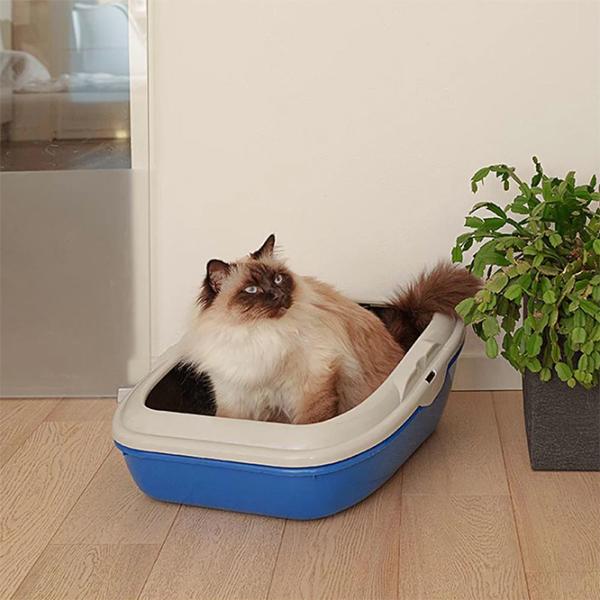 Лоток для кошек Ferplast Birba Открытый/ Blue photo 5 Лоток для кошек Ferplast Birba Открытый/ Blue photo 5