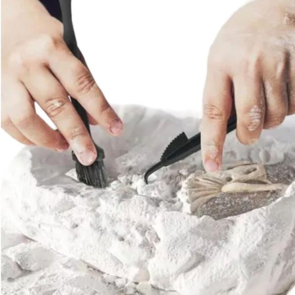 Joc de rol Mideer The Little Archaeologist's Set 6+/ Setul micului arheolog photo 3