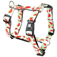 Шлейка Max & Molly Watermelon для собаки/ M