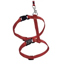 Шлейка Flamingo ZIGGI для кошек