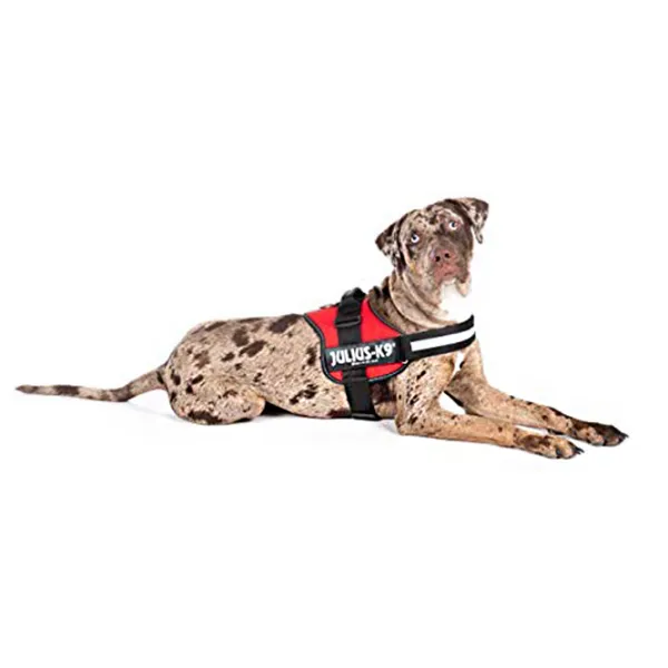 Шлейка Beeztees K9 IDC Powerharness для собаки photo 2