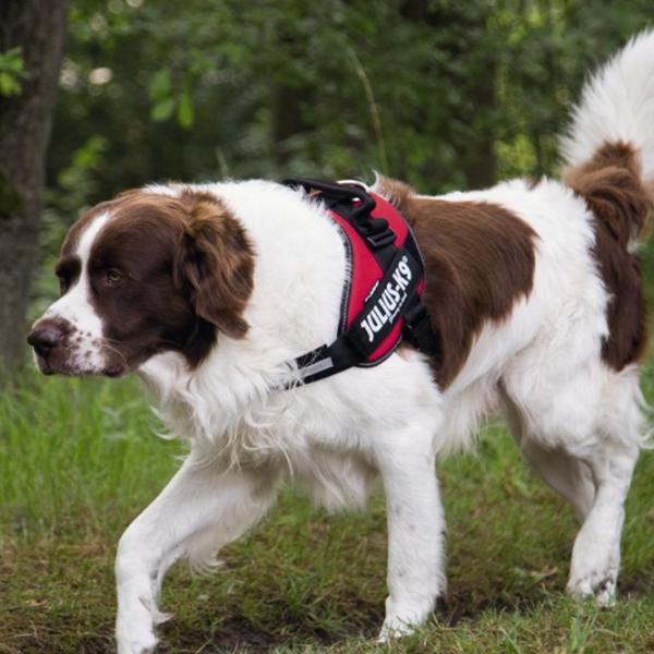 Шлейка Beeztees K9 IDC Powerharness для собаки photo 2