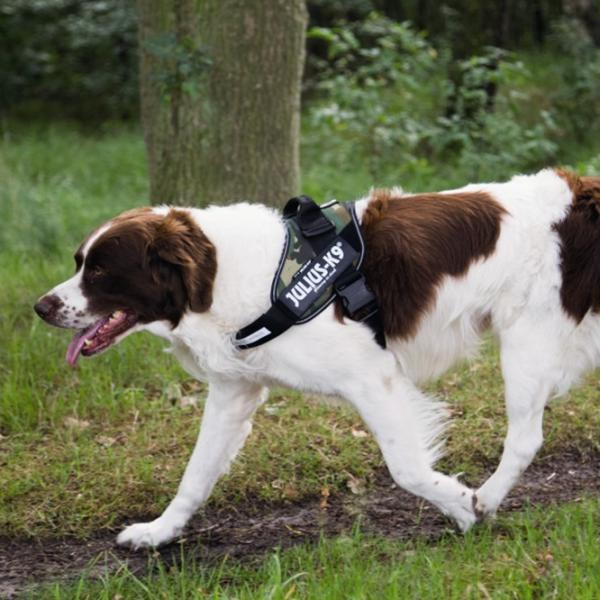 Шлейка Beeztees K9 IDC Powerharness для собаки photo 2