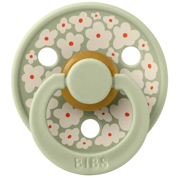 Соска круглая Bibs Colour 20018250C Унисекс/ 0 месяцев - 6 месяцев/ Латекс/ Green photo 1 Соска круглая Bibs Colour 20018250C Унисекс/ 0 месяцев - 6 месяцев/ Латекс/ Green photo 1