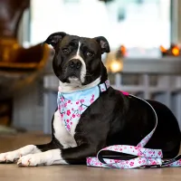 Поводок Max & Molly Cherry Bloom M/ для собаки photo 2