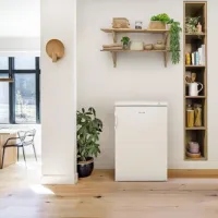 Congelator Gorenje F49DPW White photo 4