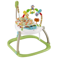 Ходунки Fisher Price CHN38 (887961084375) Green