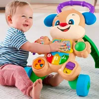 Ходунки Fisher Price GXR70 (887961961287) Brown photo 4
