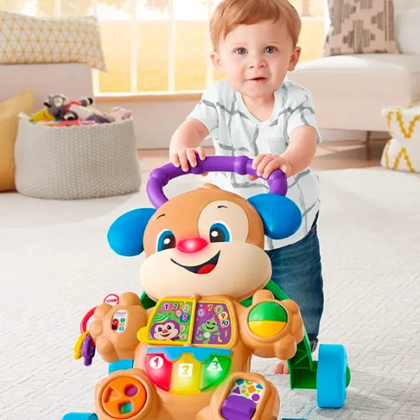 Ходунки Fisher Price GXR70 (887961961287) Brown photo 5