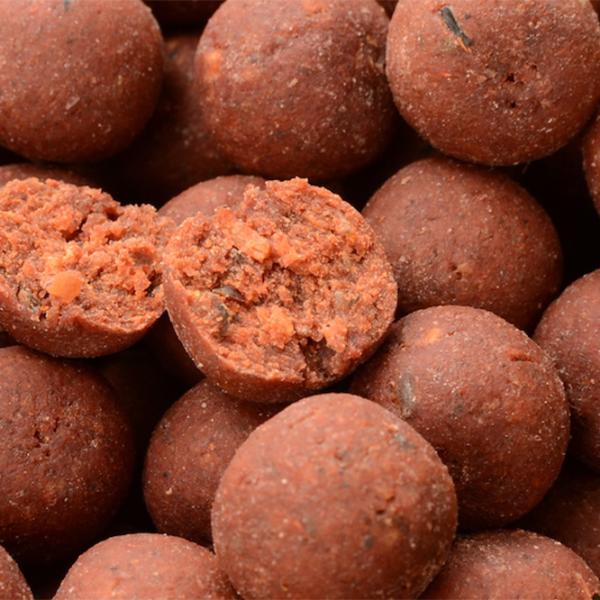 Boilies Solar Bait Club Mix Shelf-Life Carp Food Octopus/ 1 kg/ 20 mm photo 2