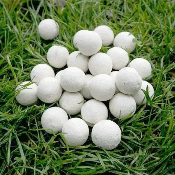 Бойлы Nash Citruz Фрукты/ 1 кг/ 20 мм photo 3
