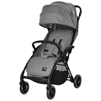 Детская коляска Lorelli Stroller Quick 10021932406/ Gray